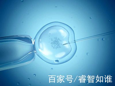 生殖妇科